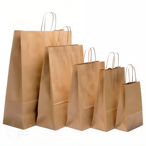 Paper Bag Brown Twisted Handle (250bags)